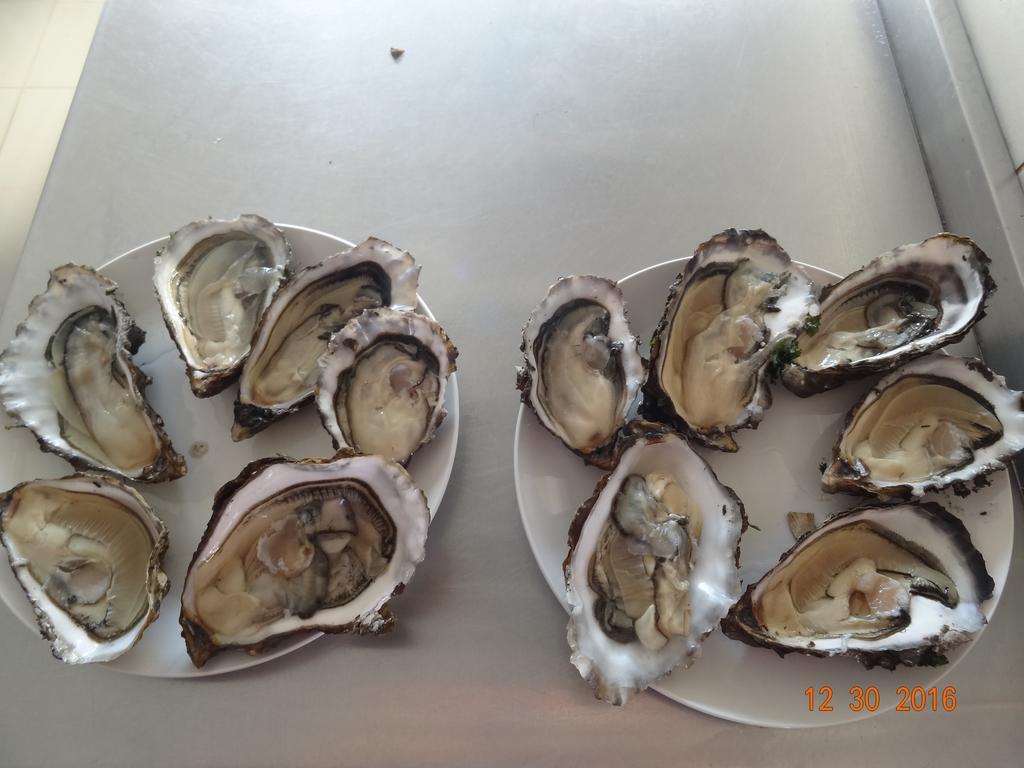 São Tiaguinho Quinta Das Delicias المظهر الخارجي الصورة